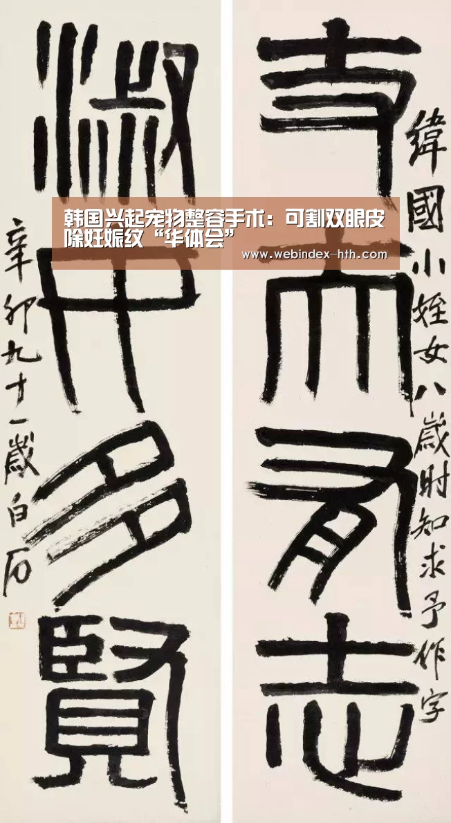 韩国兴起宠物整容手术：可割双眼皮除妊娠纹“华体会”