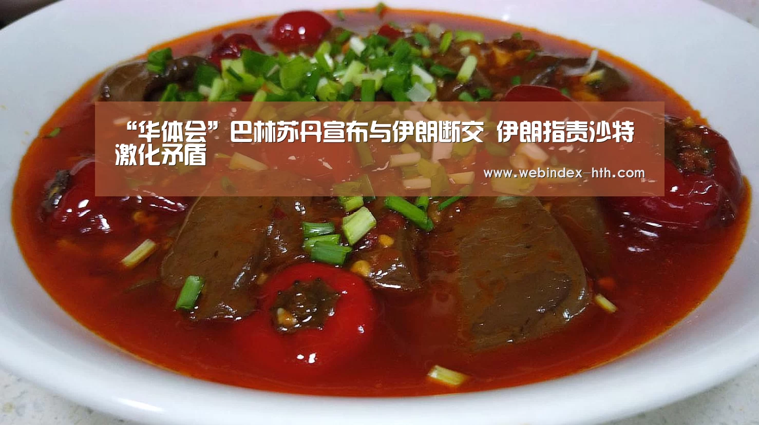“华体会”巴林苏丹宣布与伊朗断交 伊朗指责沙特激化矛盾