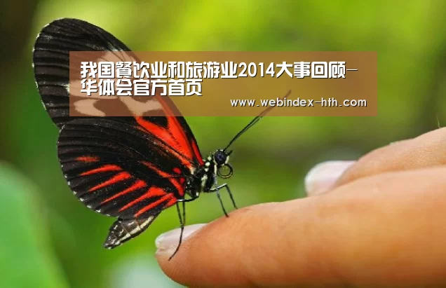 我国餐饮业和旅游业2014大事回顾-华体会官方首页