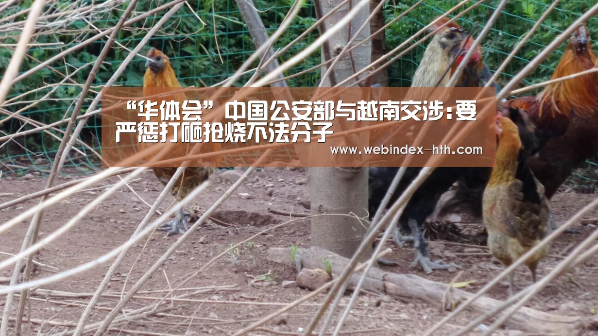 “华体会”中国公安部与越南交涉:要严惩打砸抢烧不法分子(图4) 华体会官方首页