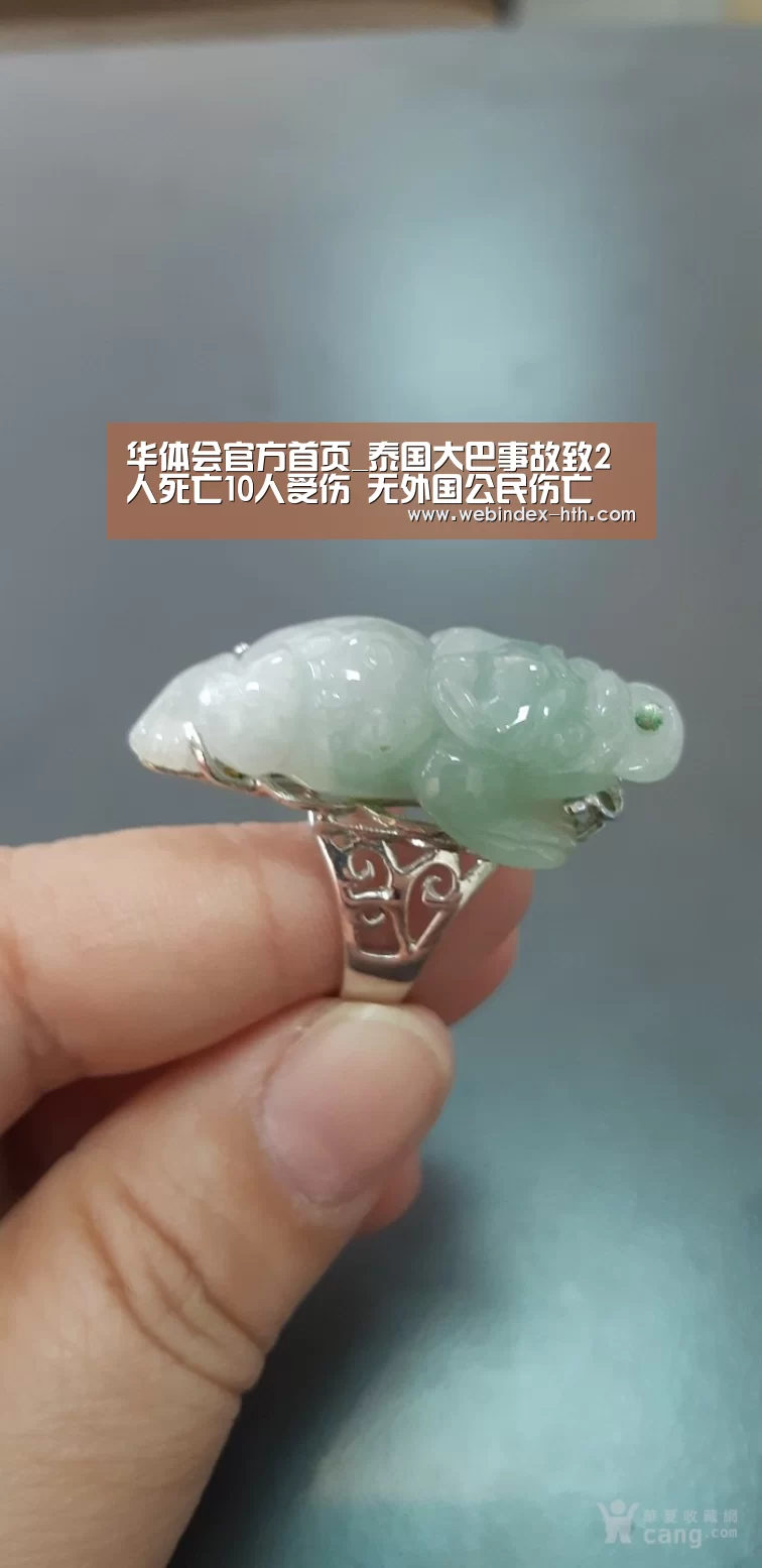 华体会
